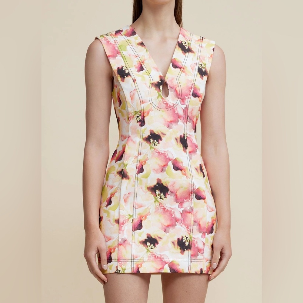 Acler (10) Coolridge Mini Dress in Dipped Rose Print